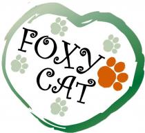 FOXY CATCAT