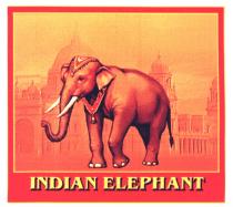 INDIAN ELEPHANT