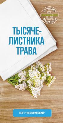 ТЫСЯЧЕЛИСТНИКА ТРАВА СОРТ ВАСЮРИНСКИЙ КУЛЯСОВО МАМАДЫШ ВЫРАЩЕНО НА ПОЛЯХПОЛЯХ