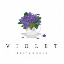 VIOLET ЦВЕТЫ И КОФЕКОФЕ