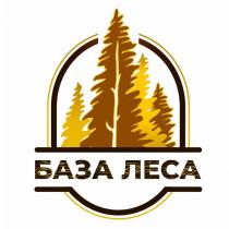 БАЗА ЛЕСАЛЕСА