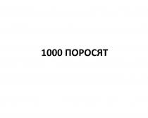 1000 ПОРОСЯТПОРОСЯТ