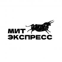 МИТ ЭКСПРЕССЭКСПРЕСС