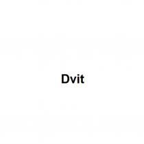 DVITDVIT