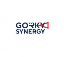 GORKY SYNERGYSYNERGY