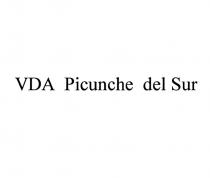 VDA PICUNCHE DEL SURSUR