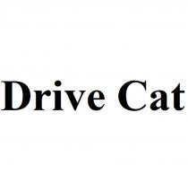 DRIVE CATCAT
