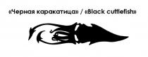 ЧЕРНАЯ КАРАКАТИЦА BLACK CUTTLEFISHCUTTLEFISH