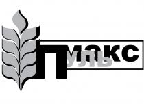 ПУЛЬ МАКС