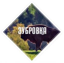 ЗУБРОВКАЗУБРОВКА