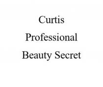 CURTIS PROFESSIONAL BEAUTY SECRETSECRET