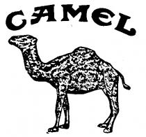 CAMEL