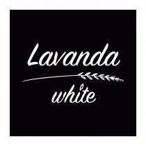 LAVANDA WHITEWHITE