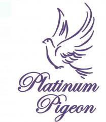 PLATINUM PIGEONPIGEON