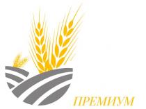 ПРЕМИУМПРЕМИУМ