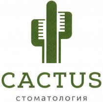 CACTUS СТОМАТОЛОГИЯСТОМАТОЛОГИЯ