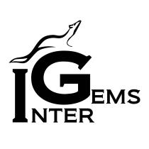 IG INTER GEMSGEMS