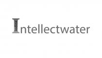 INTELLECTWATER IODINE