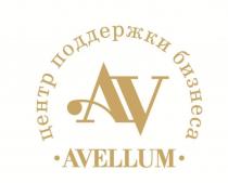 AVELLUM ЦЕНТР ПОДДЕРЖКИ БИЗНЕСАБИЗНЕСА