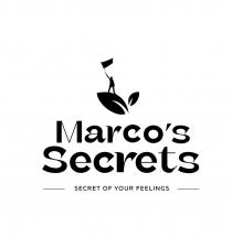 MARCOS SECRETS SECRET OF YOUR FEELINGSMARCO'S FEELINGS