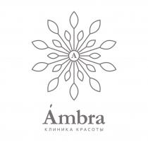 AMBRA КЛИНИКА КРАСОТЫКРАСОТЫ