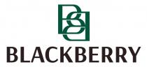BB BLACKBERRY