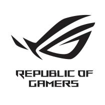 REPUBLIC OF GAMERSGAMERS