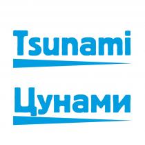 TSUNAMI ЦУНАМИЦУНАМИ