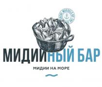 МИДИЙНЫЙ БАР МИДИИ НА МОРЕ SOCHI MUSSELS BY THE SEASEA