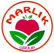 MARLIK GROUPGROUP