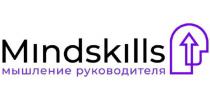 MINDSKILLS МЫШЛЕНИЕ РУКОВОДИТЕЛЯРУКОВОДИТЕЛЯ