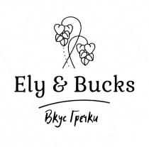 ELY & BUCKS ВКУС ГРЕЧКИГРЕЧКИ