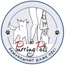 PP PURRING PETS ЗАМУРЛЫЧИТ ДАЖЕ ПЁСПEС