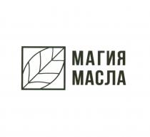 МАГИЯ МАСЛА