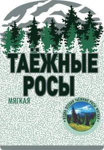 ТАЁЖНЫЕ РОСЫ МЯГКАЯ ВОДКА ОСОБАЯТАEЖНЫЕ ОСОБАЯ