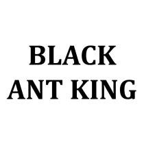 BLACK ANT KINGKING