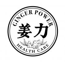 GINGER POWER HEALTH CARECARE