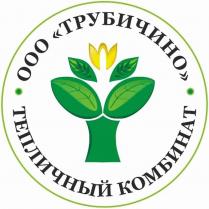 ООО ТРУБИЧИНО ТЕПЛИЧНЫЙ КОМБИНАТКОМБИНАТ