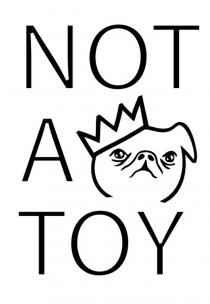 NOT A TOY