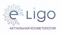 E LIGO АКТУАЛЬНАЯ КОСМЕТОЛОГИЯ