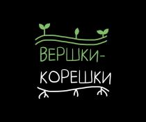 ВЕРШКИ КОРЕШКИ