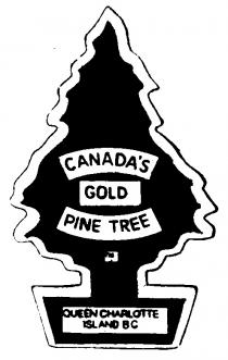 GOLD PINE TREE CANADAS CANADA QUEEN CHAPLOTTE ISLAND BC