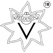 V BELOUSOV