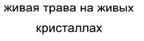 ЖИВАЯ ТРАВА НА ЖИВЫХ КРИСТАЛЛАХ