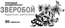 ПРИРОДНЫЙ АНТИДЕПРЕССАНТ ЗВЕРОБОЙ HYPERICUM PERFORATUM