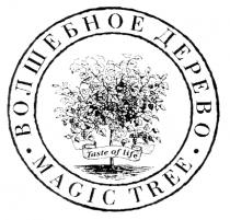 ВОЛШЕБНОЕ ДЕРЕВО MAGIC TREE TASTE OF LIFE