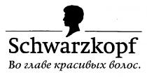 ВО ГЛАВЕ КРАСИВЫХ ВОЛОС SCHWARZKOPF