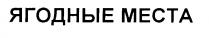 ЯГОДНЫЕ МЕСТА