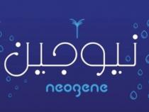 Neogene;نيوجين