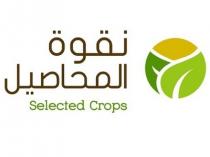 selected crops;نقوة المحاصيل